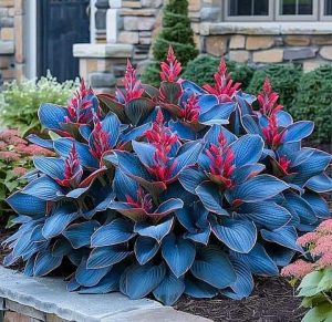 Хоста Грин Фог купить по цене от 669р. в интернет-магазине «Посадика» с доставкой почтой в в Североуральске и по всей России – [изображение №1].