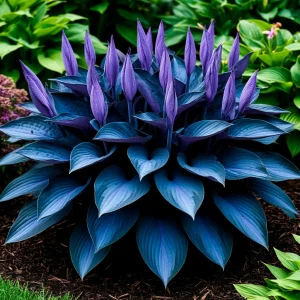 Хоста Сикрет Гров купить по цене от 570р. в интернет-магазине «Посадика» с доставкой почтой в в Североуральске и по всей России – [изображение №1].